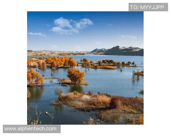 探索阿拉巴的历史文化与自然风光之美，感受独特的地域魅力与人文情怀