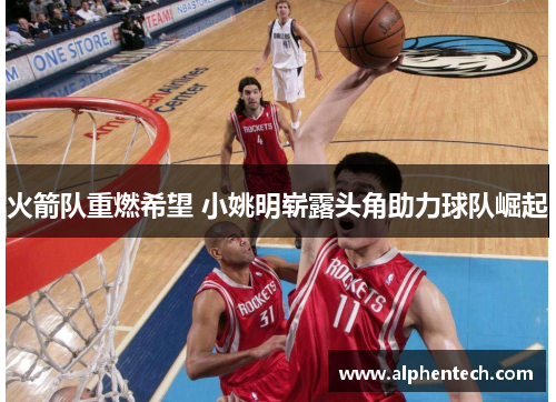 火箭队重燃希望 小姚明崭露头角助力球队崛起