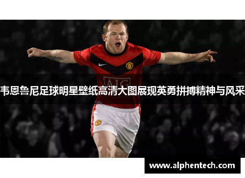 韦恩鲁尼足球明星壁纸高清大图展现英勇拼搏精神与风采